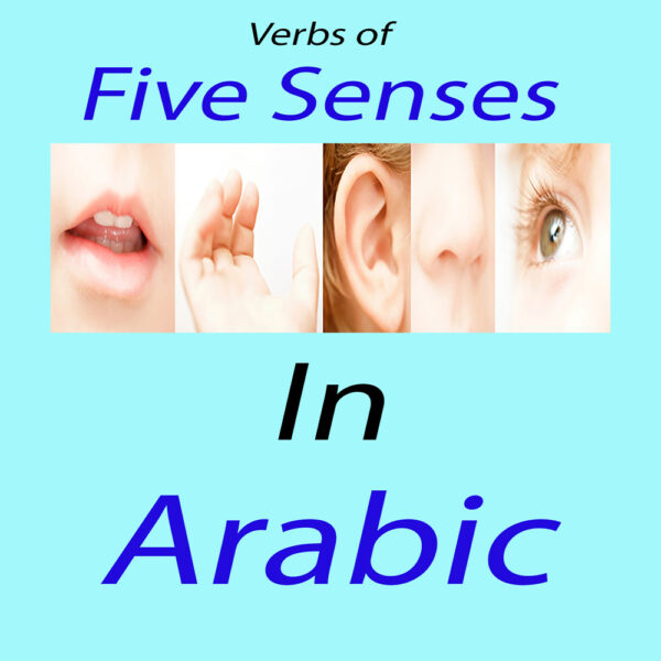 Arabic Vocabulary pdf